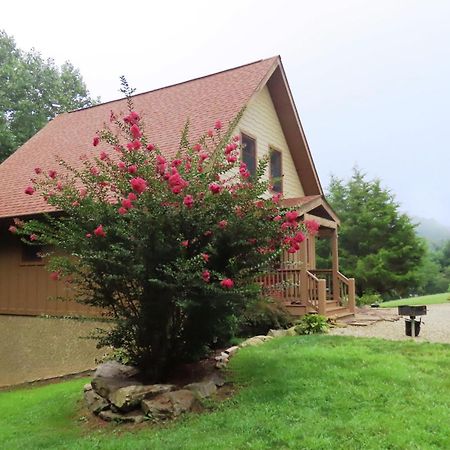 Scenic Fox Ridge Cabin On 4 Acres With Hot Tub! Whittier Bagian luar foto