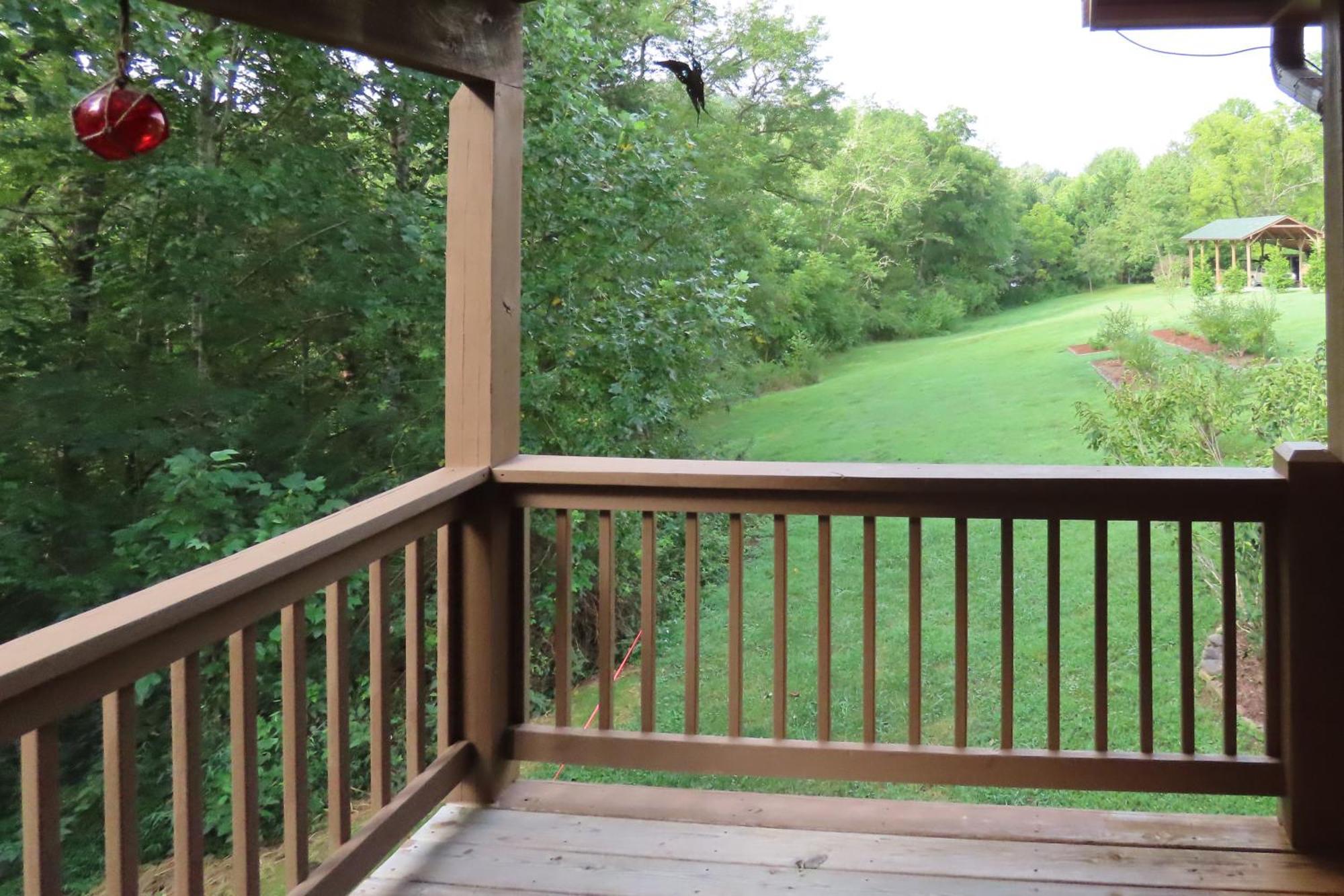 Scenic Fox Ridge Cabin On 4 Acres With Hot Tub! Whittier Bagian luar foto